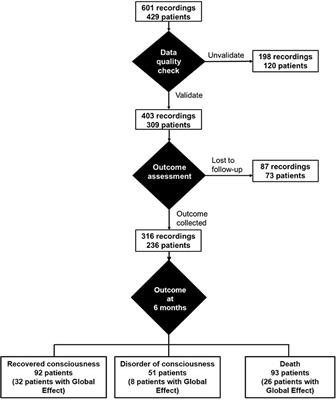 Auditory Event-Related “Global Effect” Predicts Recovery of Overt Consciousness